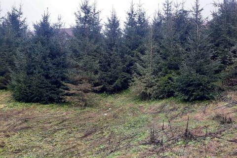 Gorski Kotar - Senjsko - građevinski teren