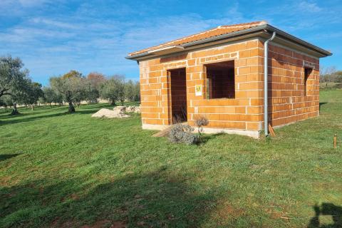 Muntić, lijepi maslinik od 7208 m2