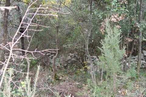 Земельный участок нестроительного назначения Peruški, Marčana, 321m2