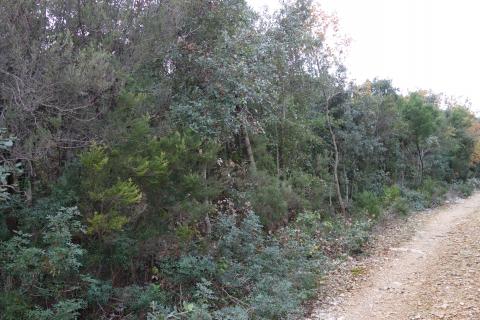 Nicht-strukturelle Land Peruški, Marčana, 432m2