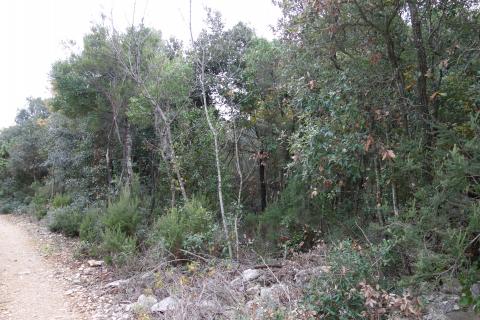 Nicht-strukturelle Land Peruški, Marčana, 432m2