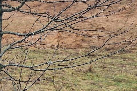 Vrata-teren u zoni GST