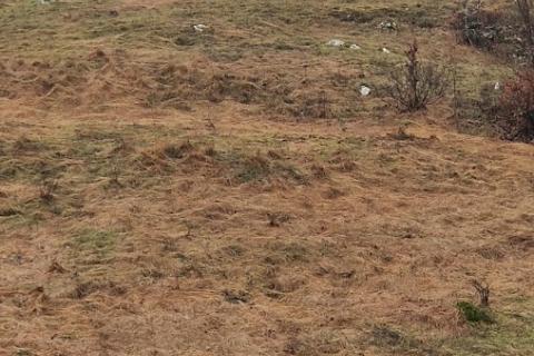 Vrata-teren u zoni GST