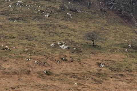 Vrata-teren u zoni GST