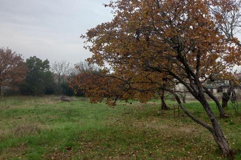 Istra,Pula, građevinsko zemljište u predgrađu