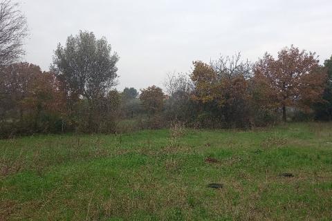 Istra,Pula, građevinsko zemljište u predgrađu