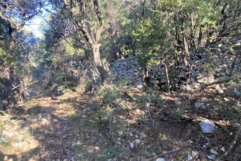 ISTRA, SKITAČA - veliko negrađevinsko zemljište od 6 ha s 5 građevina