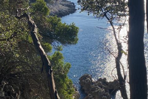 ISTRA, SKITAČA - veliko negrađevinsko zemljište od 6 ha s 5 građevina