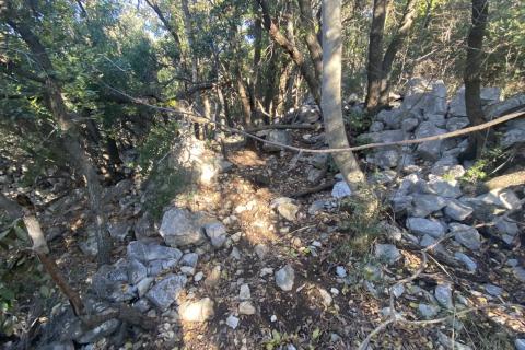 ISTRA, SKITAČA - veliko negrađevinsko zemljište od 6 ha s 5 građevina