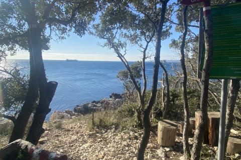 ISTRA, SKITAČA - veliko negrađevinsko zemljište od 6 ha s 5 građevina