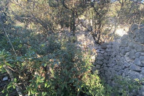 ISTRA, SKITAČA - veliko negrađevinsko zemljište od 6 ha s 5 građevina