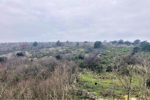 ISTRA, SKITAČA - veliko negrađevinsko zemljište od 6 ha s 5 građevina