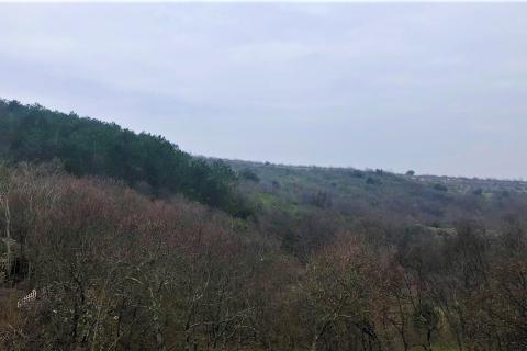 ISTRA, SKITAČA - veliko negrađevinsko zemljište od 6 ha s 5 građevina