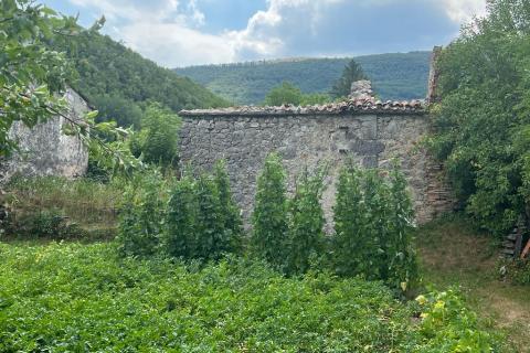 House Dane, Lanišće, 122m2