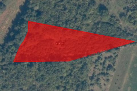 Nicht-strukturelle Land Cukrići, Svetvinčenat, 5.812m2