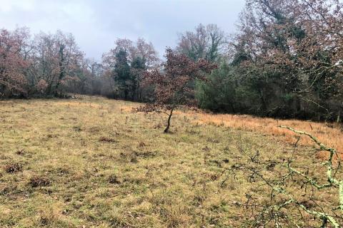 Makovci, Grožnjan, 757m2