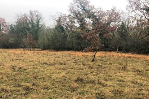 Makovci, Grožnjan, 757m2