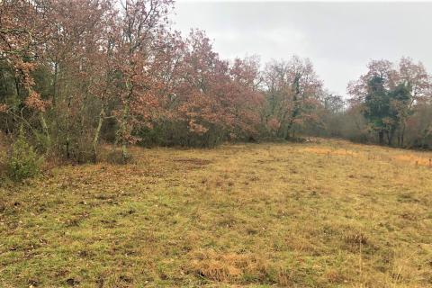 Makovci, Grožnjan, 1.186m2