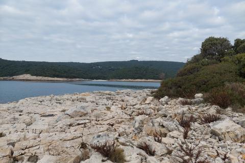 Земельный участок нестроительного назначения Kavran, Marčana, 1.110m2