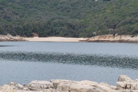 Земельный участок нестроительного назначения Kavran, Marčana, 1.285m2