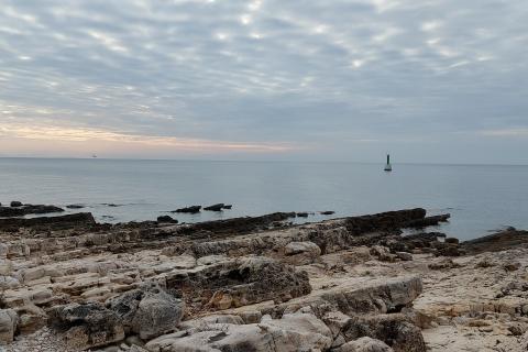 Земельный участок нестроительного назначения Kavran, Marčana, 1.285m2