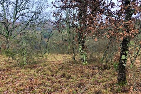 Makovci, Grožnjan, 3.654m2