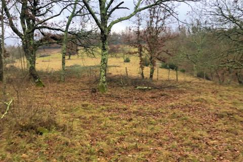 Makovci, Grožnjan, 3.654m2