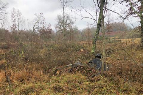 Makovci, Grožnjan, 3.654m2