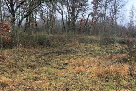 Makovci, Grožnjan, 3.654m2