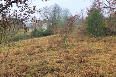 Makovci, Grožnjan, 3.654m2