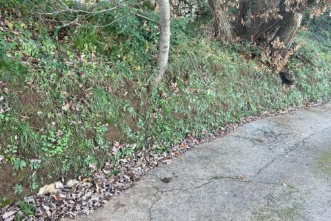 Oprić, Opatija - Okolica, 718m2