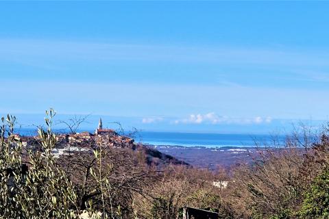 Hi&scaron;a Triban, Buje, 26m2