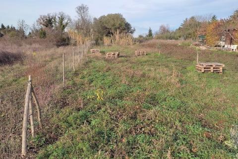 Istra,poljoprivredno zemljište u blizini Umaga i mora