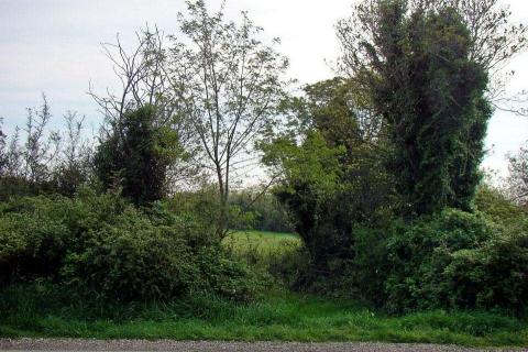 Bouwgrond Ližnjan, 16.033m2