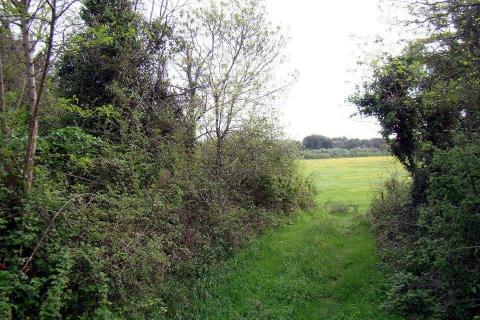 Bouwgrond Ližnjan, 16.033m2