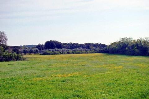 Bouwgrond Ližnjan, 16.033m2