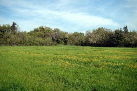 Bouwgrond Ližnjan, 16.033m2