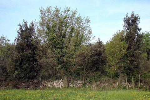 Bouwgrond Ližnjan, 16.033m2