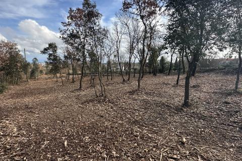 Terreno edificabile Rakalj, Marčana, 100.000m2