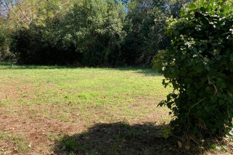 Земельный участок строительного назначения Bašanija, Umag, 1.000m2