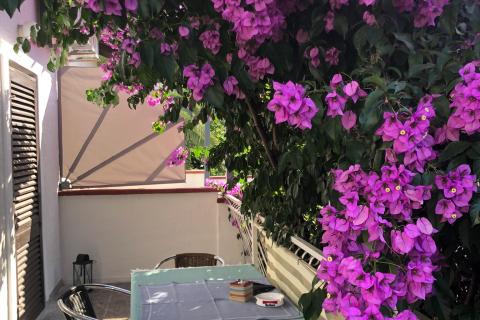 Hiša Artatore, Mali Lošinj, 300m2