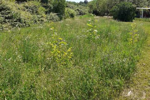 Hiša Pićan, 1.370m2