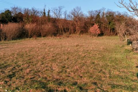 Terreno edificabile Krasica, Bakar, 1.800m2