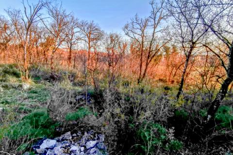 Terreno non edificabile Krasica, Bakar, 2.500m2