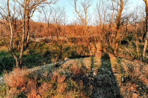 Terreno non edificabile Krasica, Bakar, 2.500m2