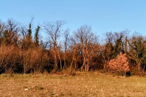 Terreno non edificabile Krasica, Bakar, 2.500m2