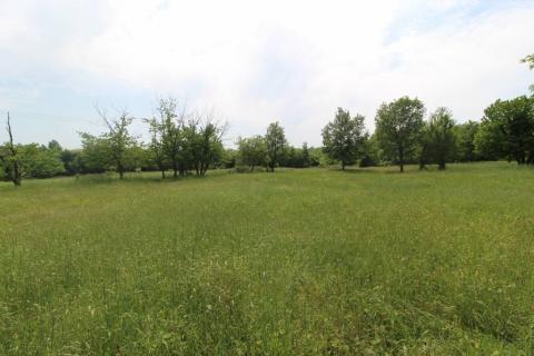 Istra, lijepo poljoprivredno zemljište u okolici Višnjana 