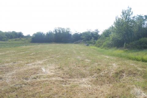 Istra,okolica Peruški, poljoprivredno zemljište uz cestu