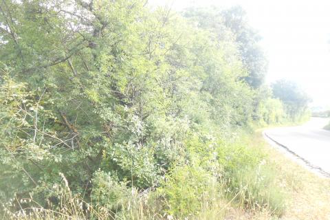 Istra,okolica Peruški, poljoprivredno zemljište uz cestu