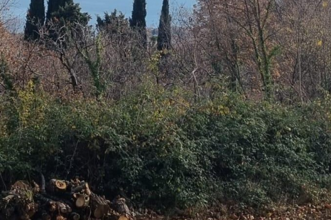 Земельный участок строительного назначения Poljane, Opatija - Okolica, 1.109m2